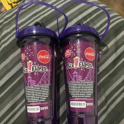 Lot 2 SIX FLAGS 2025 Refillable FREE REFILLS 2025 Season Drink Bottles Coca Cola