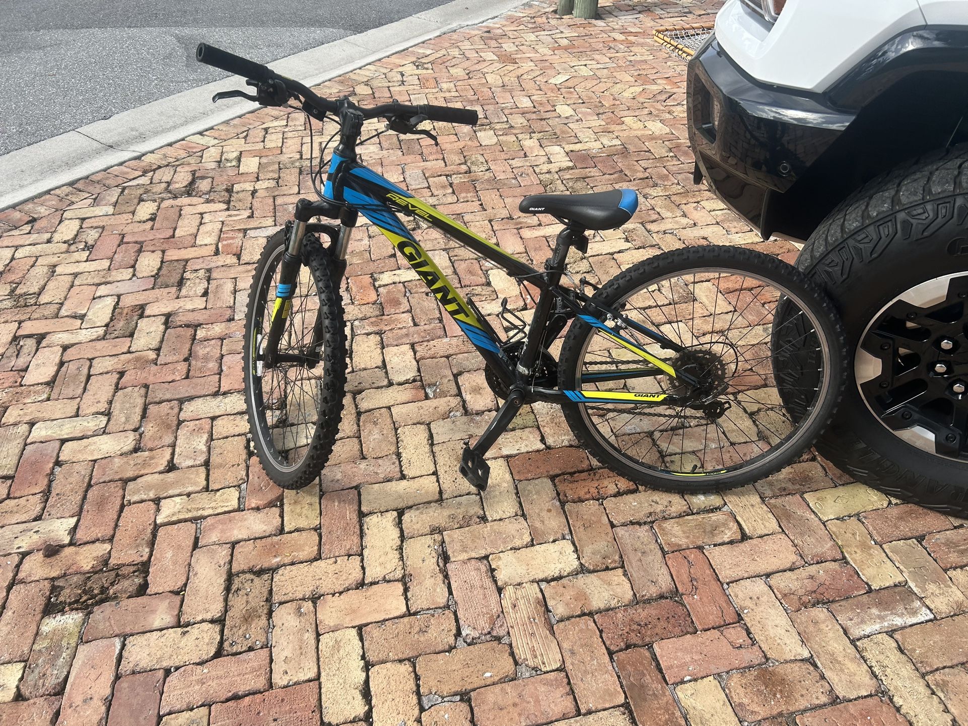 Giant ARX Mountain Bike - Youth