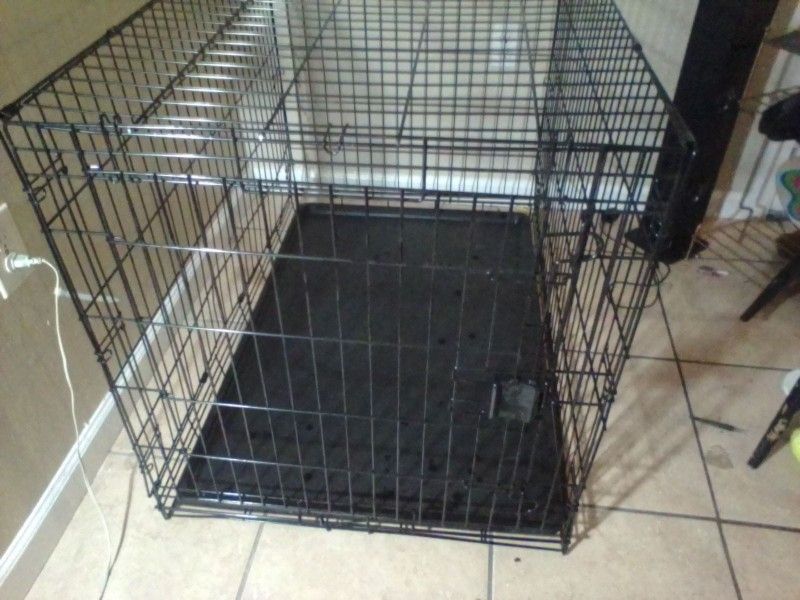 Dog Kennel 