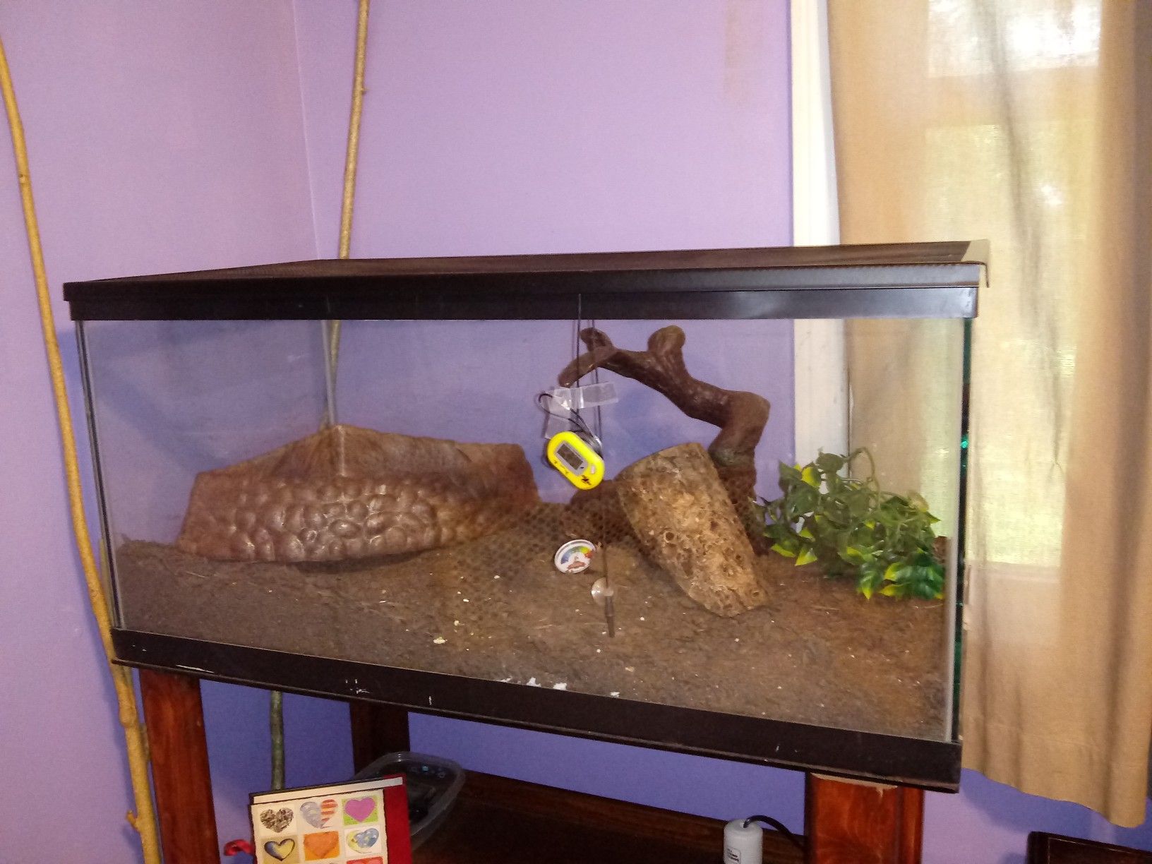 40 gal reptile tank with supplies