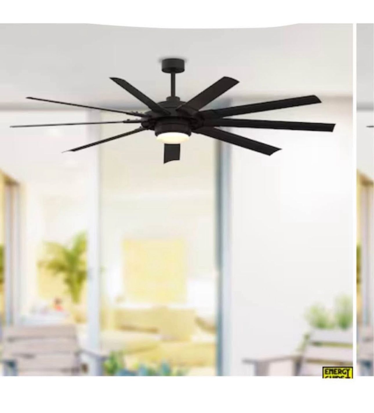 Fan