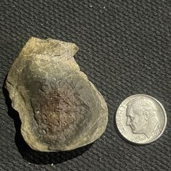 One Interesting Rock