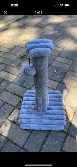 Cat Toy