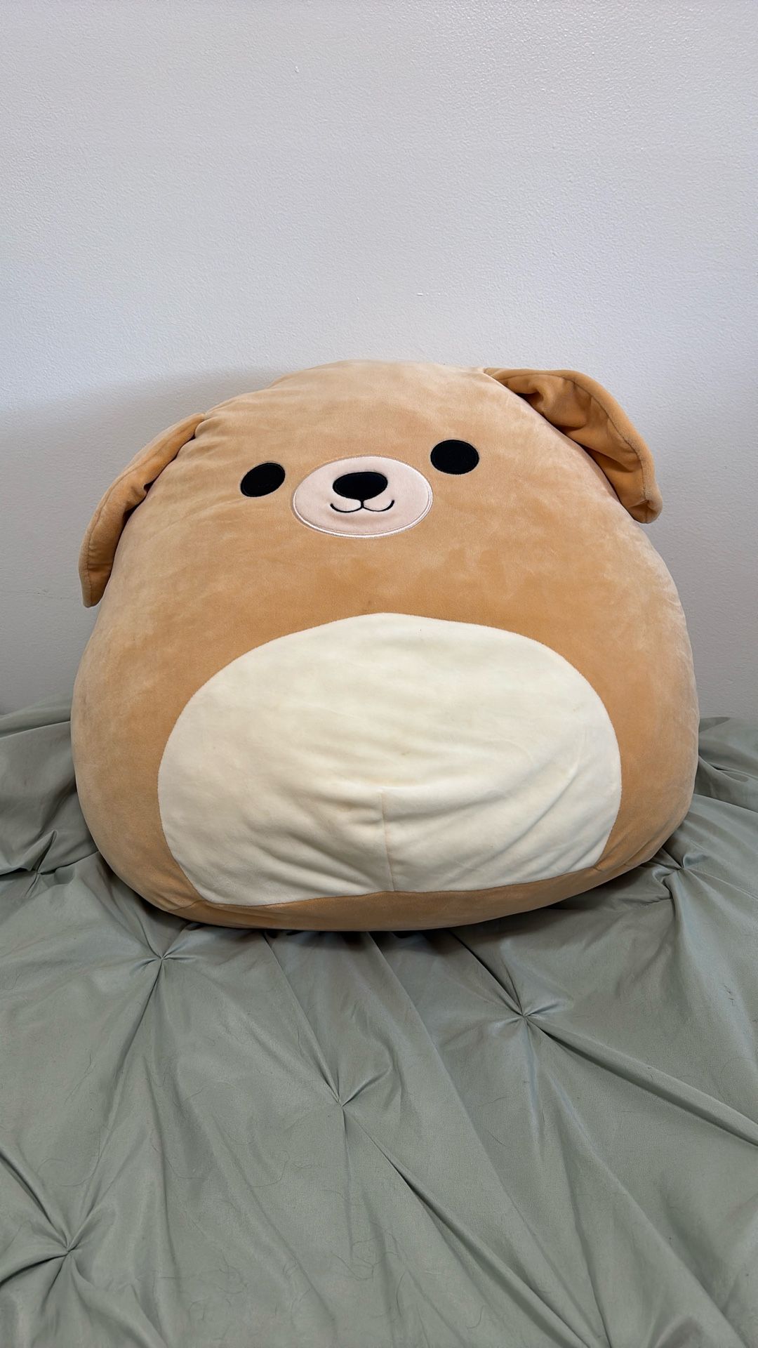 Dog Squishmallow