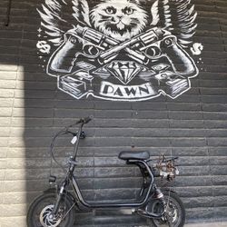 Caroma  Adult Electric Scooter