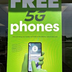 Crown Cricket Wireless 