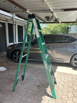 Werner Ladder 6 Ft
