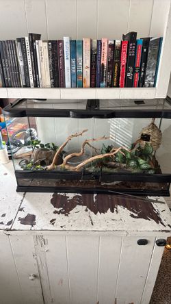 Reptile Enclosure
