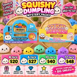 Squishy Dumpling Mystery Pack Fidget Toys