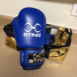 Sting USA Boxing Approved Competition Leather Boxing Gloves 10oz
