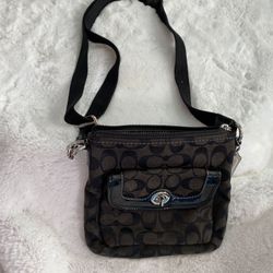 Coach Bag And Unionbay Bag