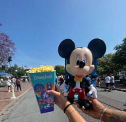 Disneyland 70th  Anniversary Mickey Bucket 