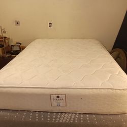Queen Sealy Mattress And Box Spring 