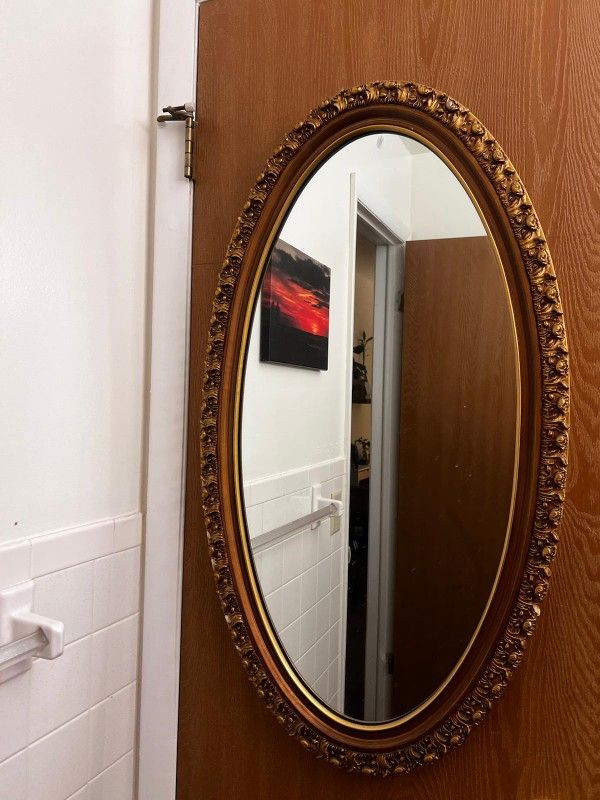 Door Mirror