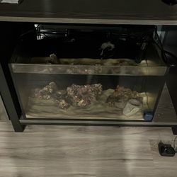 30 Gallon Saltwater Tank With Live Rock
