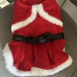 Dog. Christmas Outfit