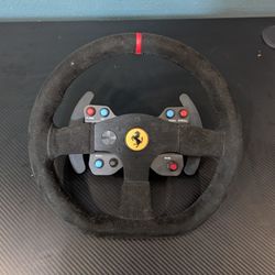 Thrustmaster Racing Wheel