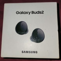Samsung Galaxy Buds 2