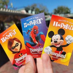 Disneyland Park Hopper Ticket