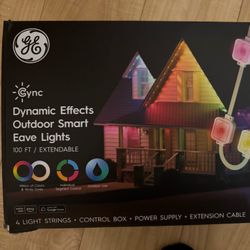 Dynamic Effects Outdoor Smart Eave Lights