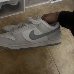 Nike Dunk Fog 