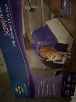 Electric Cat Scooper