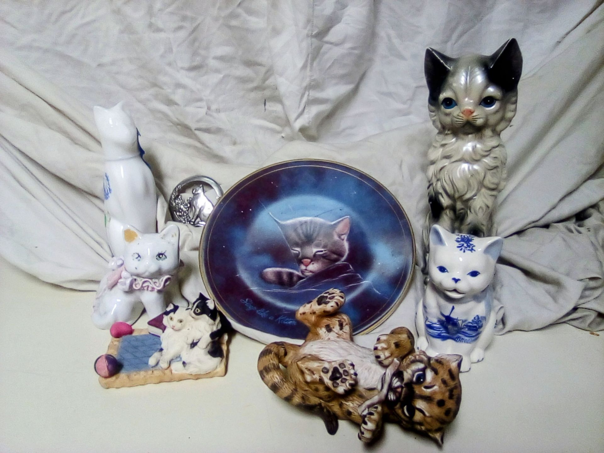 Cat lovers decor