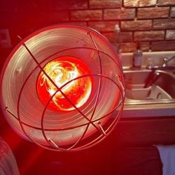 Animal Heating Lamp