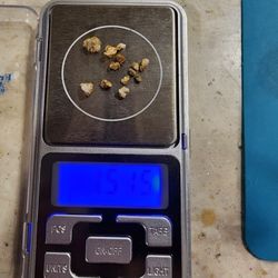 12 Gold And Quarts Specimens Totaling 1.515 grams 