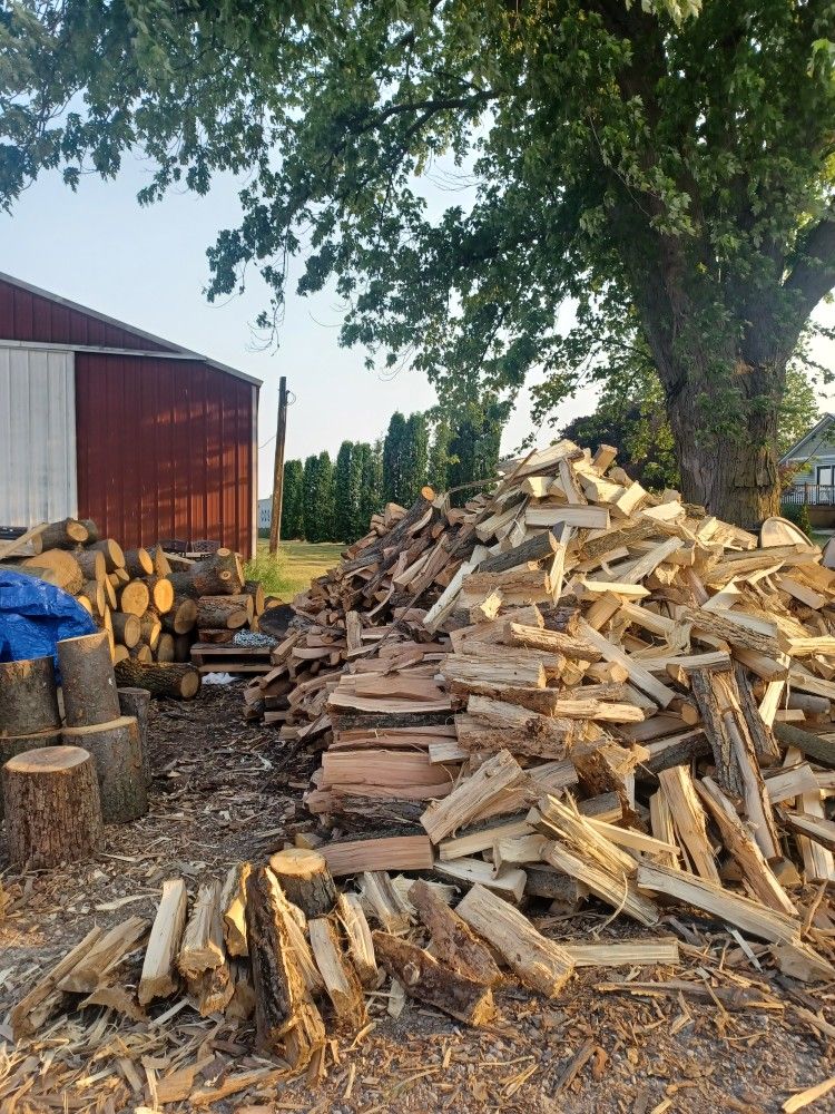 Firewood