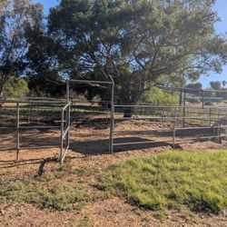 Livestock Panels And Shelter