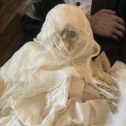 Halloween Decor skeleton