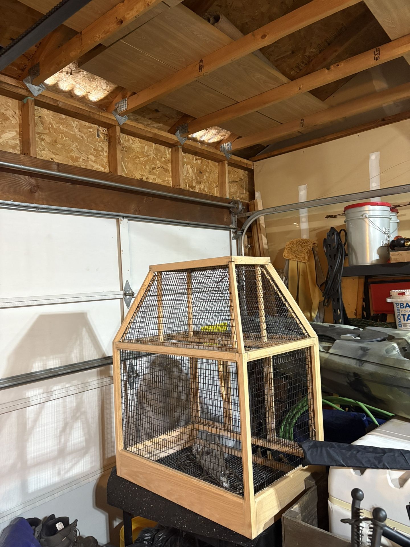Big Bird Cage