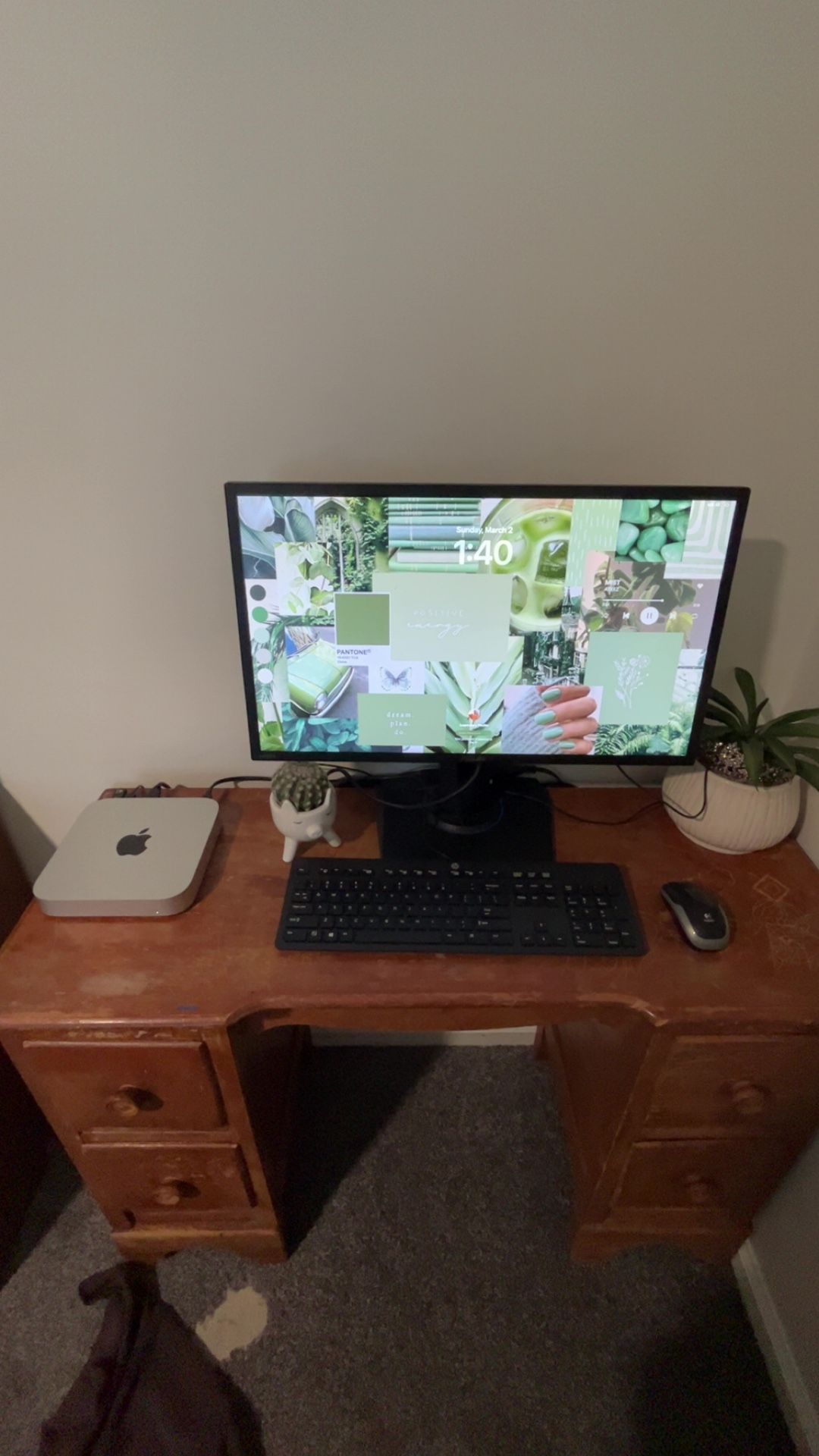 Mac Mini 2023, Asus Monitor, Bluetooth Mouse, Keyboard