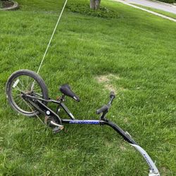Co-Pilot Bike Trailer Link