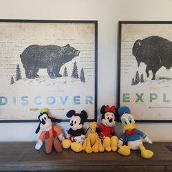 5 Disney Stuffies (Mickey, Minnie, Donald D, Goofy, Pluto)