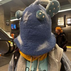 Mushroom Tutor, Your Writing Helper 🍄