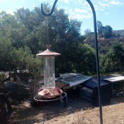 Humming Bird Feeder