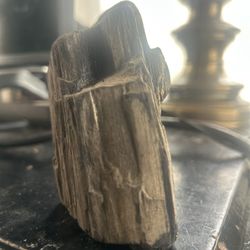 Petrified Wood