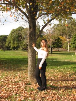 High Rise Pants