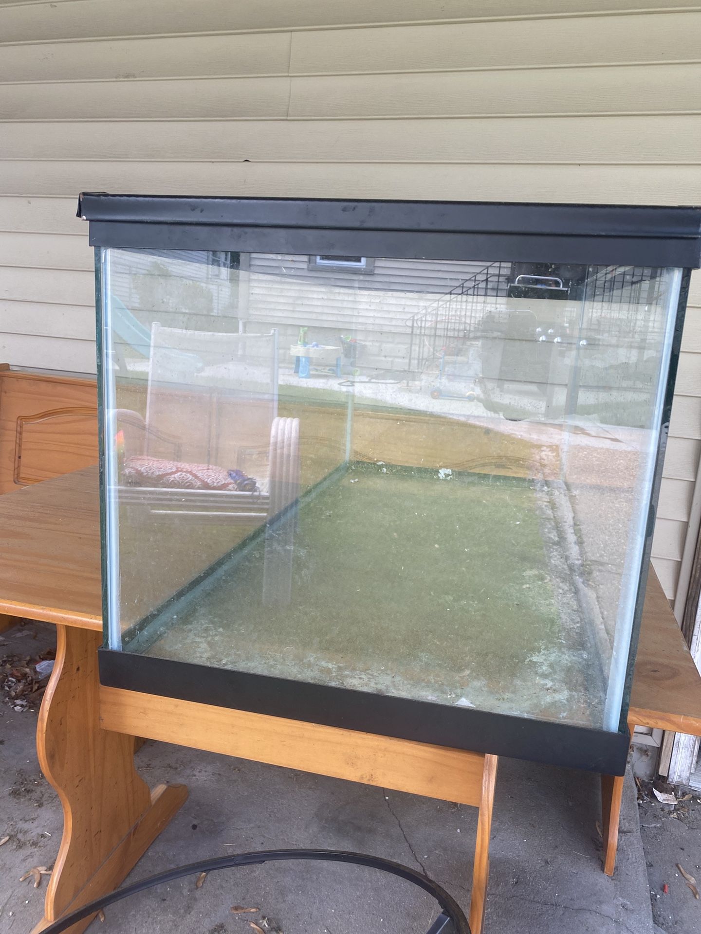 Selling Big Reptile And Aquarium Tank