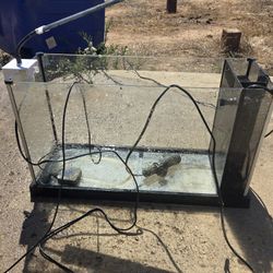 Fish Tank