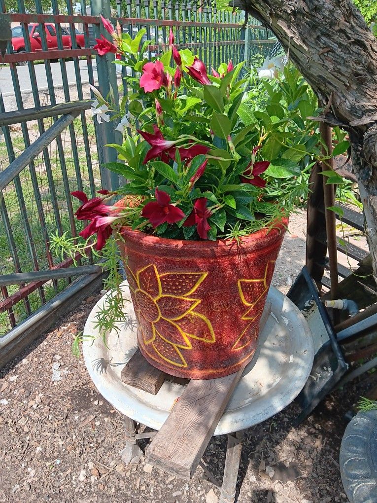 Red Flower Pot