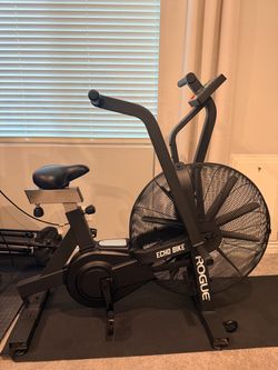 Rogue Echo bike