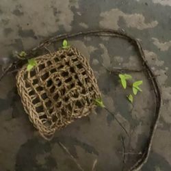 Reptile Decor 