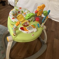 Fisher-Price Baby Bouncer