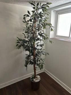 Items for sale