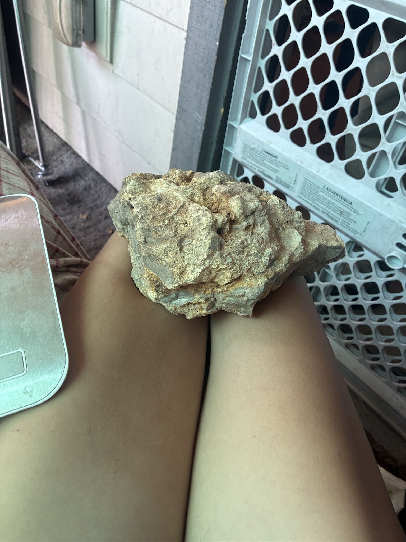 Opalized Rhyolite Boulder – Common Opal & Chalcedony Inclusions | 3.5 lb Oregon Ritual Stone | Free Shipping