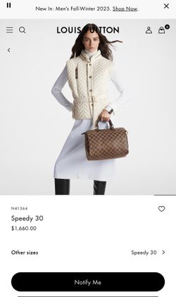 Louis Vuitton Speedy 30