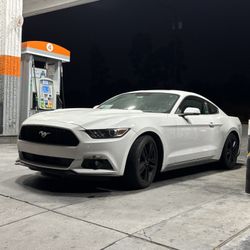 2015 Ford Mustang Eco boost Premium Performance 